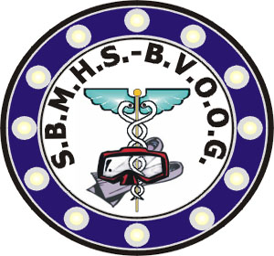 Logo BVOOG
